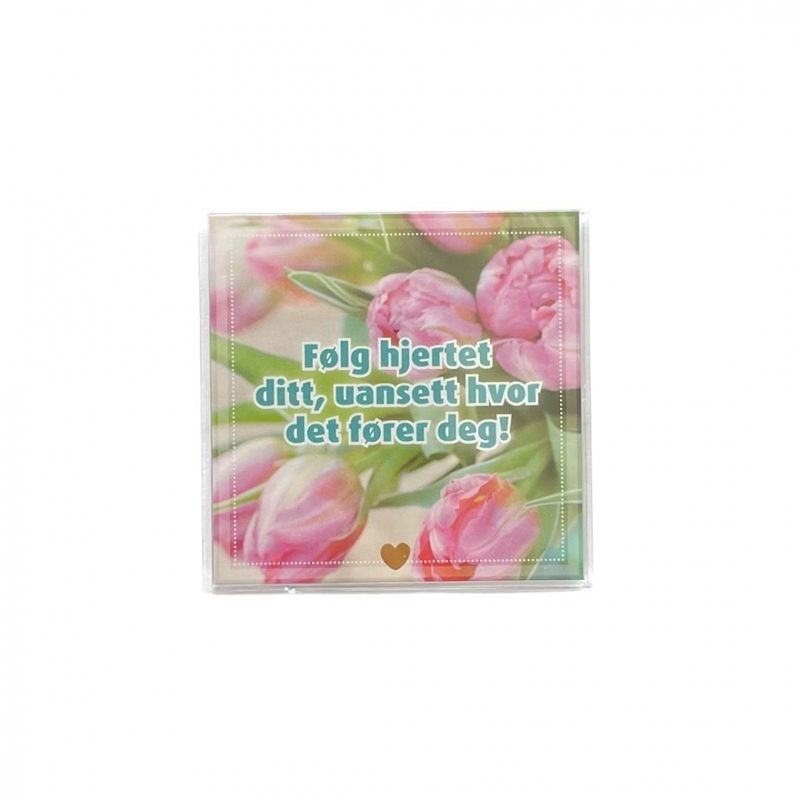 Kjøleskapsmagnet / magnetramme