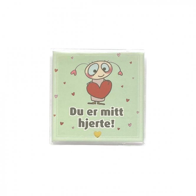 Hovedbilde Kjøleskapsmagnet / magnetramme