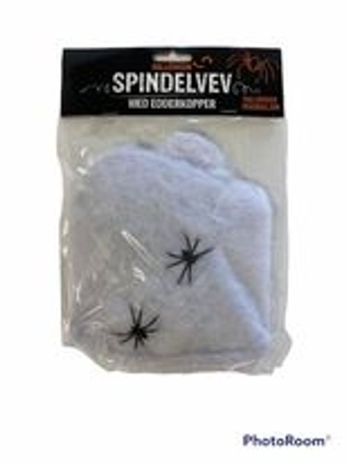 Hovedbilde Spindelvev med edderkopper